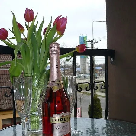 Adrienn Διαμέρισμα Sárvár